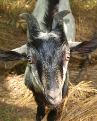 Similar image 228168