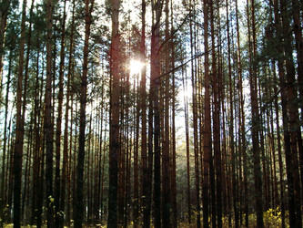 Similar image 228172