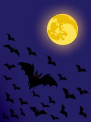 Similar image 228216