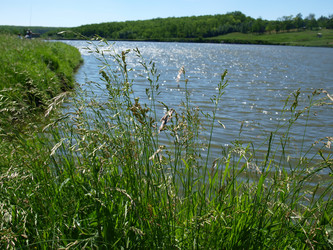 Similar image 228221