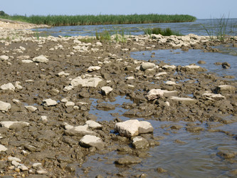 Similar image 228259