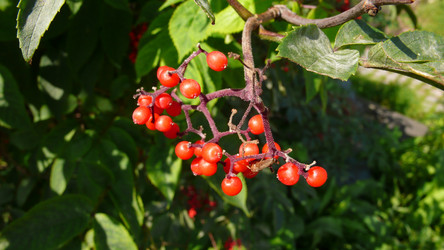 Similar image 228268