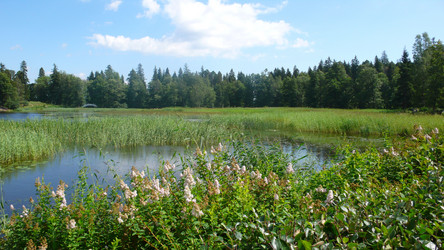 Similar image 228278