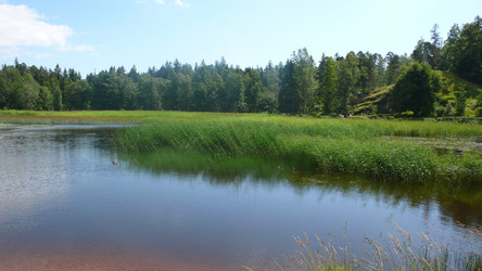 Similar image 228279