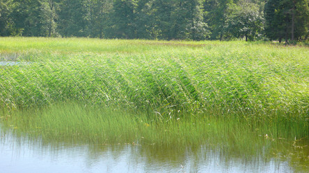 Similar image 228280