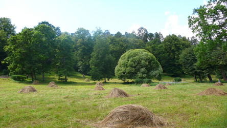 Similar image 228283