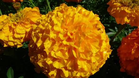 Similar image 228285