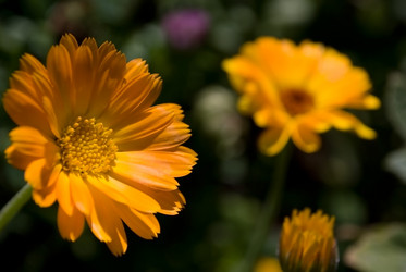 Similar image 228290