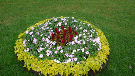 Similar image 228293