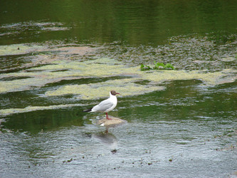 Similar image 228304