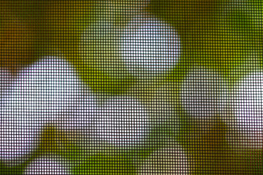 Similar image 228311