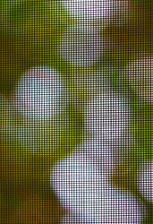 Similar image 228312