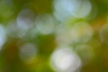 Similar image 228315