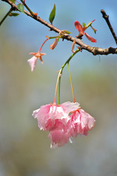 Similar image 228317