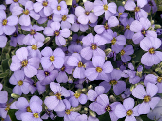 Similar image 228333