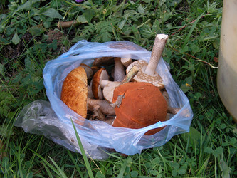 Similar image 228342