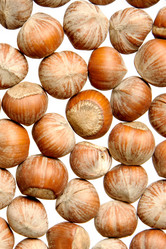 Similar image 228363