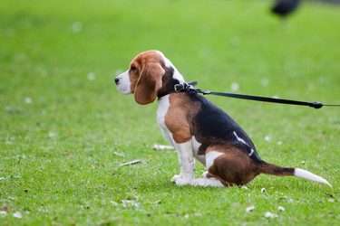 Similar image 228382