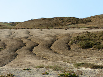 Similar image 228419