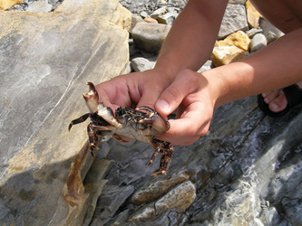 Similar image 228428