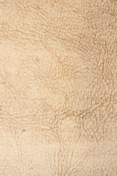 Similar image 228436