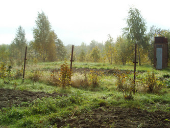 Similar image 228440