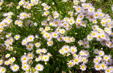 Similar image 228445