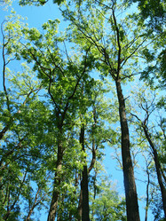 Similar image 228450