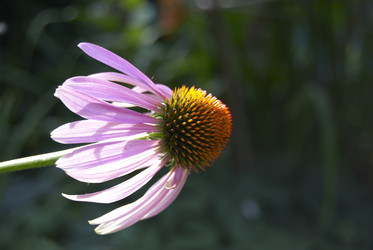 Similar image 228452