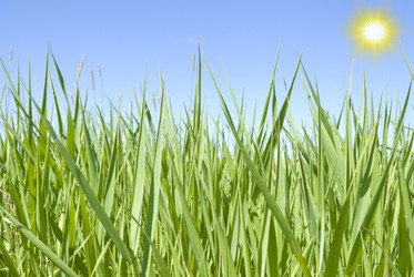 Similar image 228457