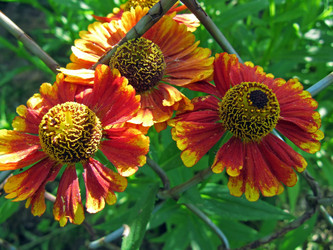 Similar image 228486