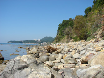 Similar image 228531