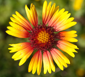 Similar image 228552