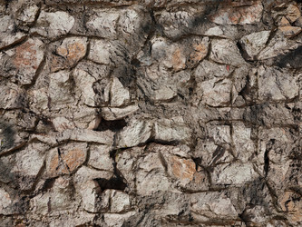 Similar image 228576