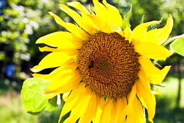 Similar image 228621