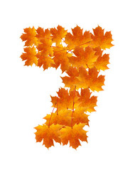 Similar image 228626