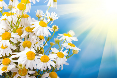 Similar image 228669