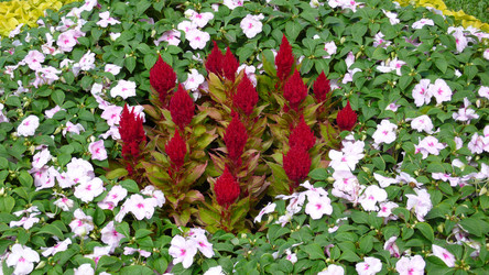 Similar image 228676