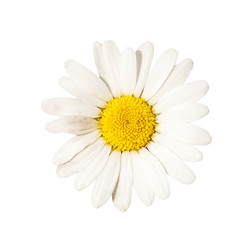 Similar image 228679