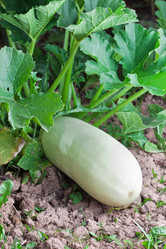 Similar image 228698