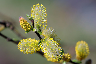 Similar image 228700