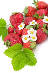 Similar image 228711