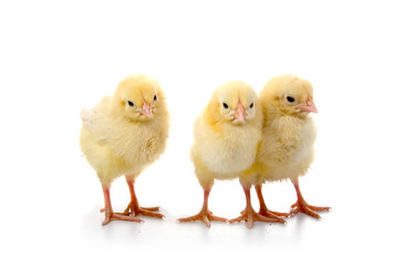 Similar image 228715