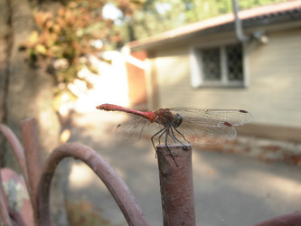 Similar image 228719