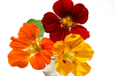 Similar image 228736