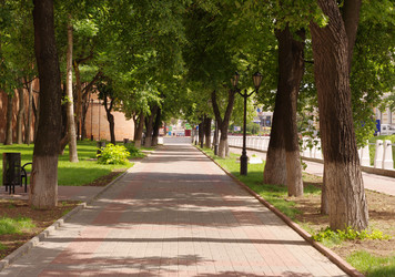 Similar image 228799