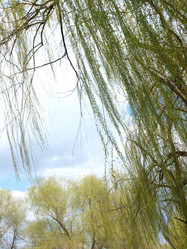 Similar image 228829