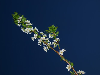 Similar image 228833