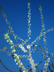 Similar image 228835