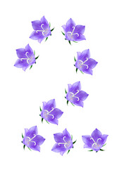 Similar image 228851